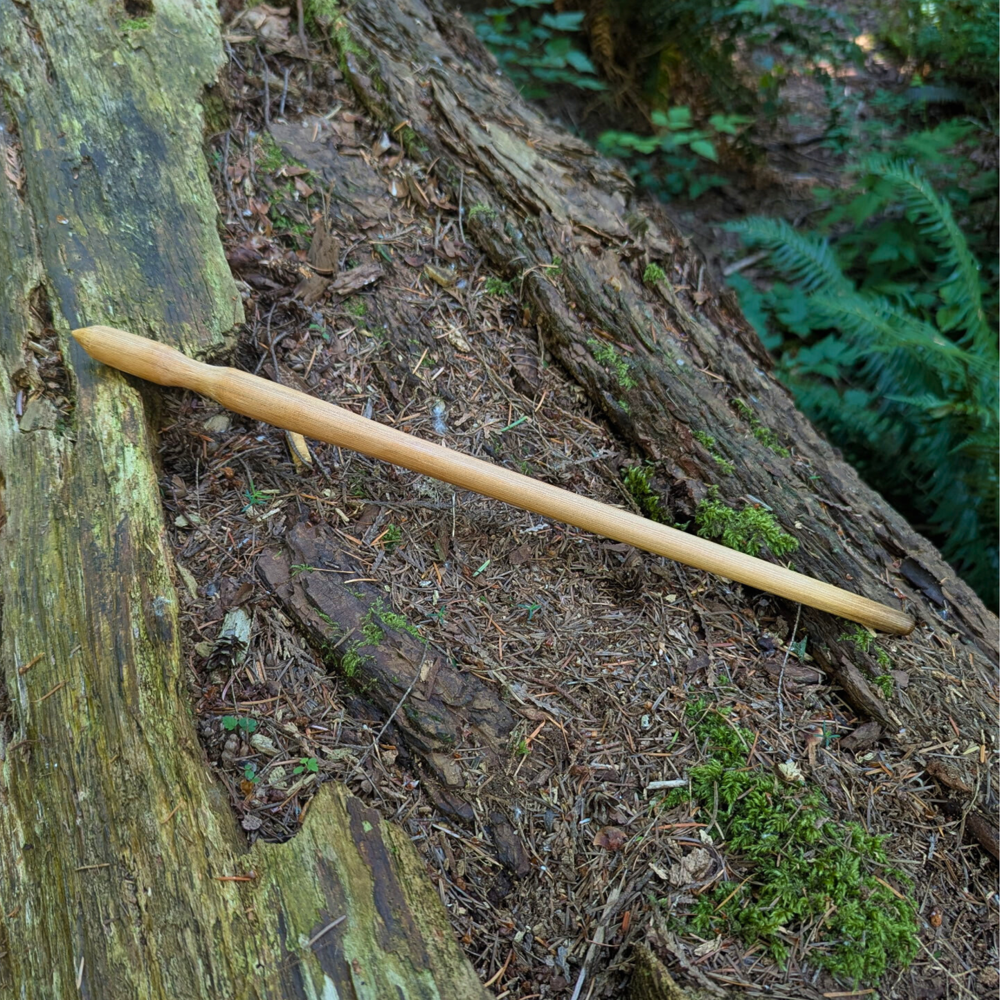 Novice Wand