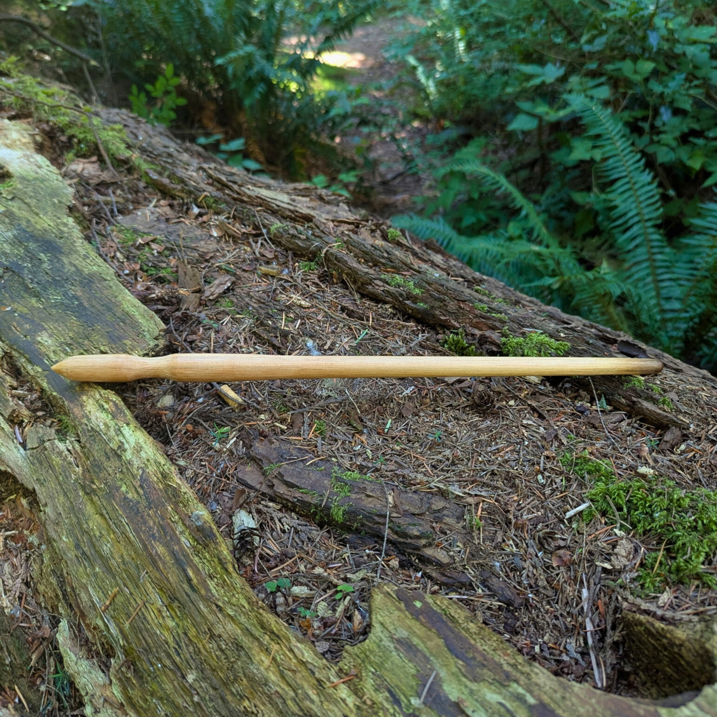 Novice Wand