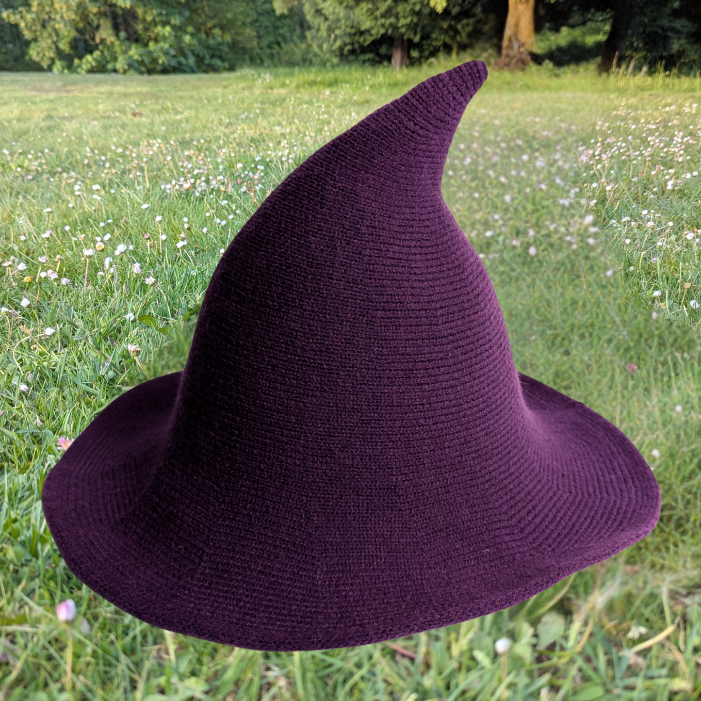 Purple Wizard / Witch Hat