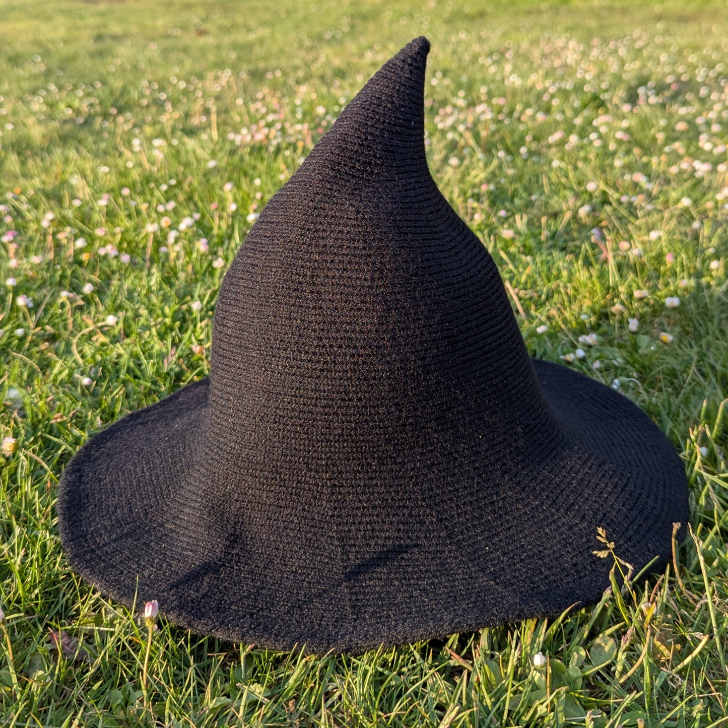 Black Wizard / Witch Hat