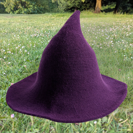Purple Wizard / Witch Hat