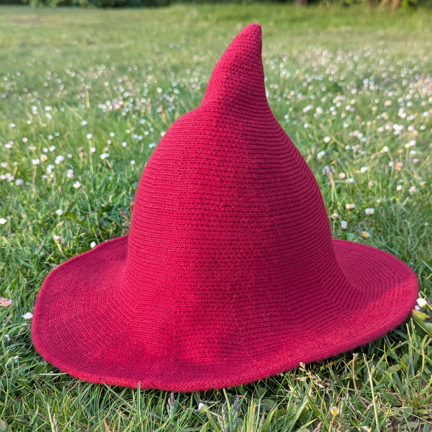 Red Wizard / Witch Hat